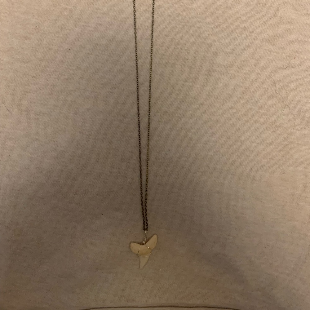 Wire wrapped shark tooth necklace